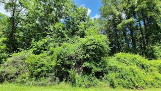 227 E Sunnybrook Rd, Carriere, MS 39426