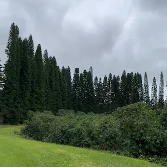 96-1977 Kumupea Rd, Pahala, HI 96777
