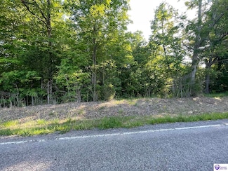 Lot 3 Rineyville-Big Springs Rd, Rineyville, KY 40162
