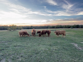 4081 Fm 2736 Unit D, Campbell, TX 75422