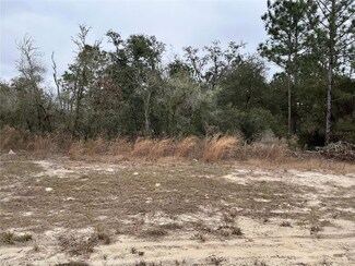 LOT 27 SW 77th Ave, Marion Oaks, FL 34473