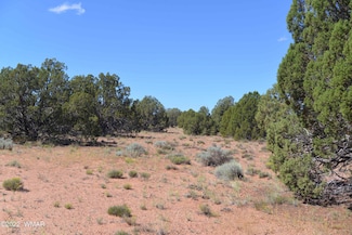 4027 Indian Bend Rd, Snowflake, AZ 85937