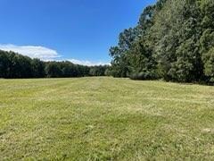 000 E State Highway Yy, Strafford, MO 65757