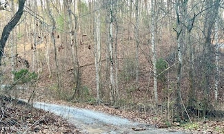 0 Spotted Fawn Way, Sevierville, TN 37862