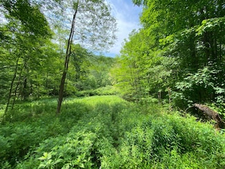 0 E Handsome Brook Rd, Franklin, NY 13775