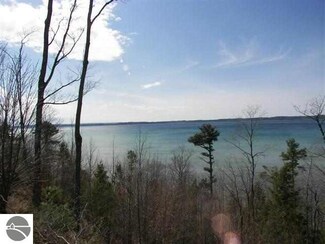 9133 Bay Ridge Dr, Williamsburg, MI 49690