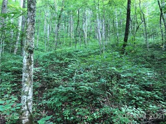 43 Cougar Mountain Rd, Fairview, NC 28730