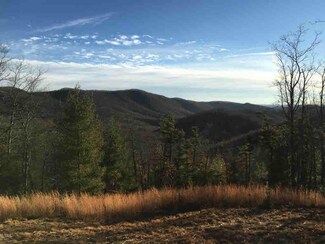 4602 Lodge Ln, Hiwassee, VA 24347
