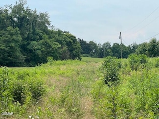 Lot 14R2 Pleasant View Cemetery Rd, New Market, TN 37820