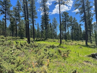 Lot 1 Boles Canyon Rd, Lead, SD 57754