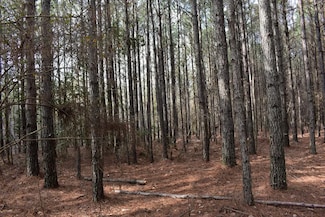 701 Lockner Rd, El Dorado, AR 71730