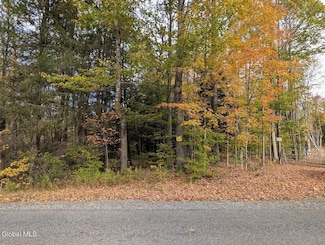 L23.2 Potter Hollow Rd, Providence, NY 12074