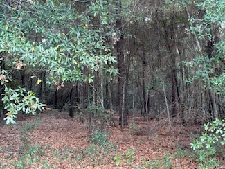 Lot 32 Marie Ln, Bainbridge, GA 39817
