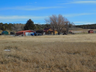 37963 37908 Homestead Trail, Redvale, CO 81431