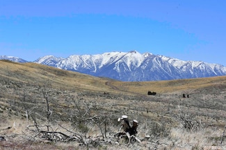 TBD 7 Parcels at Pine Nut Creek Area, Gardnerville, NV 89410