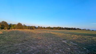 2162 Cr 174, Overton, TX 75684