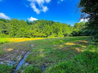 0 Buck Run Rd Unit Lot WP001, Camden, WV 26338