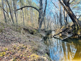 0 County Road 298, Burnsville, MS 38833