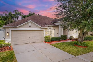 2737 Valencia Grove Dr, Valrico, FL 33596