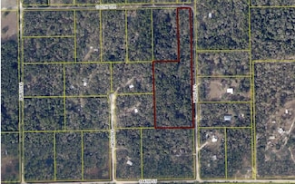 16257 137th Dr, McAlpin, FL 32062