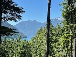 5156 N Lake Cushman Rd, Hoodsport, WA 98548