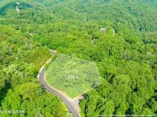 0 Long Rifle Rd Unit 1265292, Sevierville, TN 37862