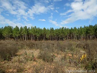 22 AC Ferndale Rd, McConnells, SC 29726