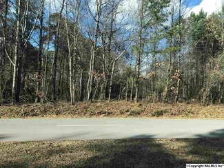 1.54 ACRES 7th St NW, Arab, AL 35016