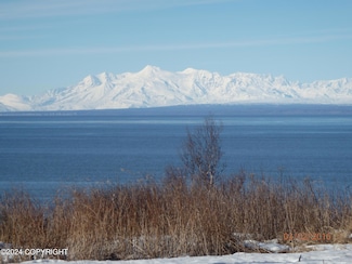 0000 Ocean View Front Rd, Nikiski/North Kenai, AK 99635