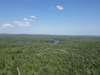 Lot 3 Fogg Brook Rd, East Central Penobscot, ME 04418