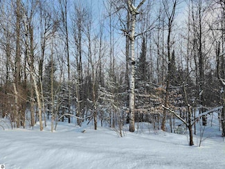 TBD Valley Rd NW, Rapid City, MI 49676