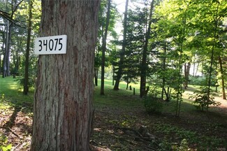 34075 Co Route 4 Rd, Alexandria Bay, NY 13624
