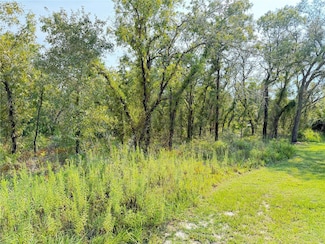 11096 Marsh Wren Ave, Weeki Wachee, FL 34614