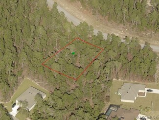 23 Village Center Dr, Homosassa, FL 34446