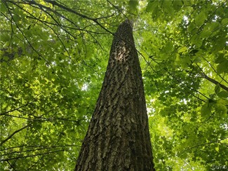 00 N Cornell Hollow Road N O Rd N, Owego, NY 13760