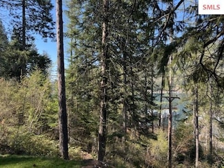 NNA Gold Coin Ln, Sagle, ID 83860