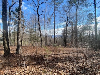 00 Bluff View Dr, Dunlap, TN 37327