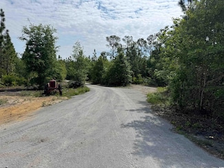 1698 Carriage Dr Unit Lots 2 & 3, Loris, SC 29569