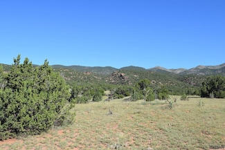 TBD Cr 132, Penrose, CO 81240