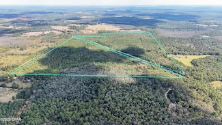 0 Douglas Ferry Rd Unit 781383, Esto, FL 32425