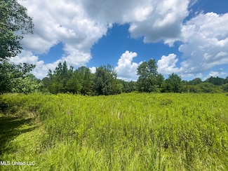 0 Mississippi 43 N, Poplarville, MS 39470