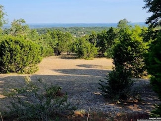 3196 Hawthorne Rd, Spring Branch, TX 78070