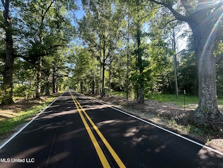 0 Stump Ridge Rd Unit 4118810, Brandon, MS 39047