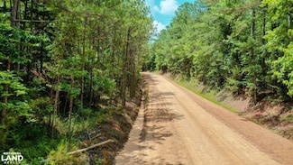 0 Attala Rd 3217 New Salem Rd, Kosciusko, MS 39090