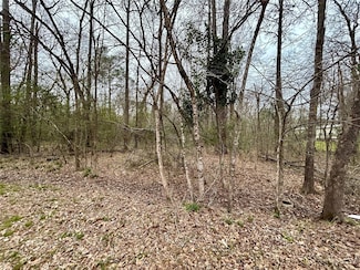 TBD Bluebonnet Dr, Onalaska, TX 77360