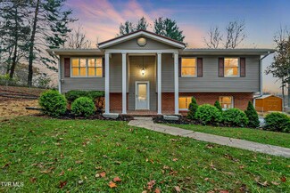 22124 Terra Caro Cir, Bristol, VA 24202