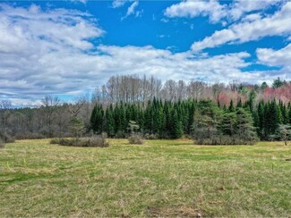 Lot #4 Mount Philo Rd Unit 4, Charlotte, VT 05445