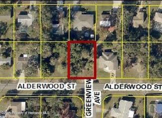 0 Alderwood St, Spring Hill, FL 34606