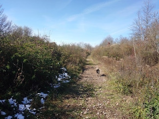 1121 Straight Creek Rd, Waverly, OH 45690