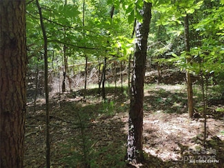 00 Wilkerson Ct Unit 12, Lake Lure, NC 28746